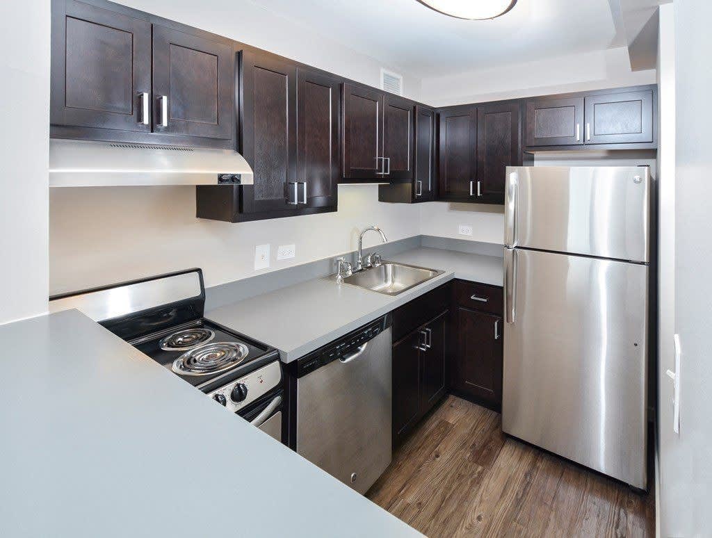 Apartments for Rent in River North, Chicago River North Park